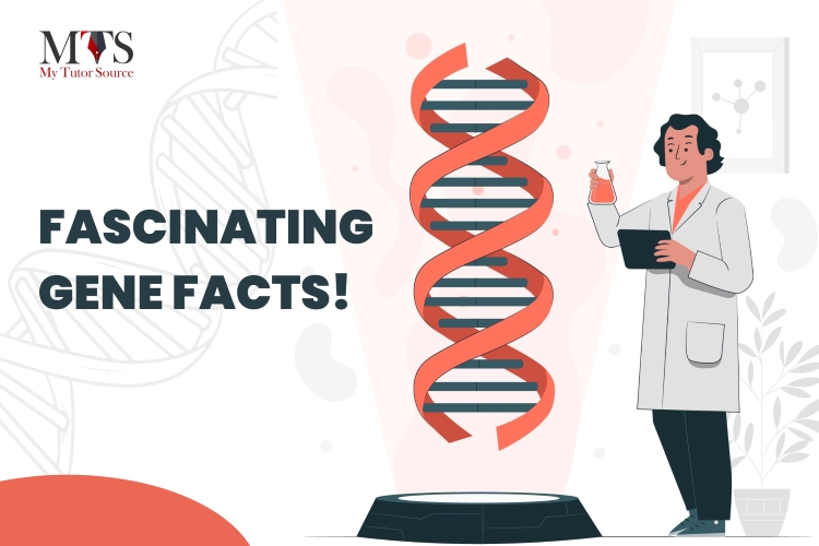 10 Fascinating Facts About Genes That You Must Know | MTS